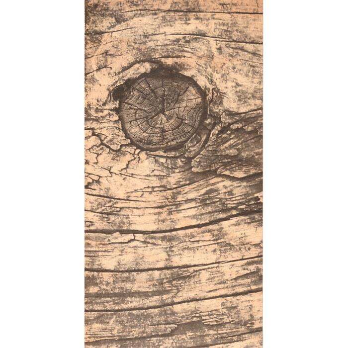 ملصق لاصق خشبي موديل Gvn Art مقاس 15 × 30 سم G466 شجرة البتولا الريفية