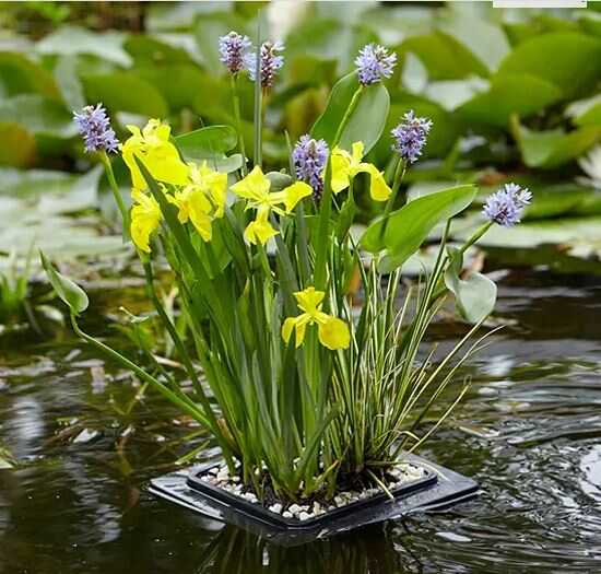 havuzdayimcom-poolline-golet-saksisi-yuvarlak-tip-4997-20-B