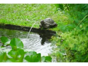 POOLLINE نافورة حمام سباحة مزخرفة على شكل سلحفاة من Poolline