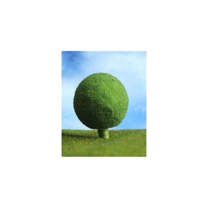 Eshel صنوبر تصميم دائري 1 سم 3 قطع